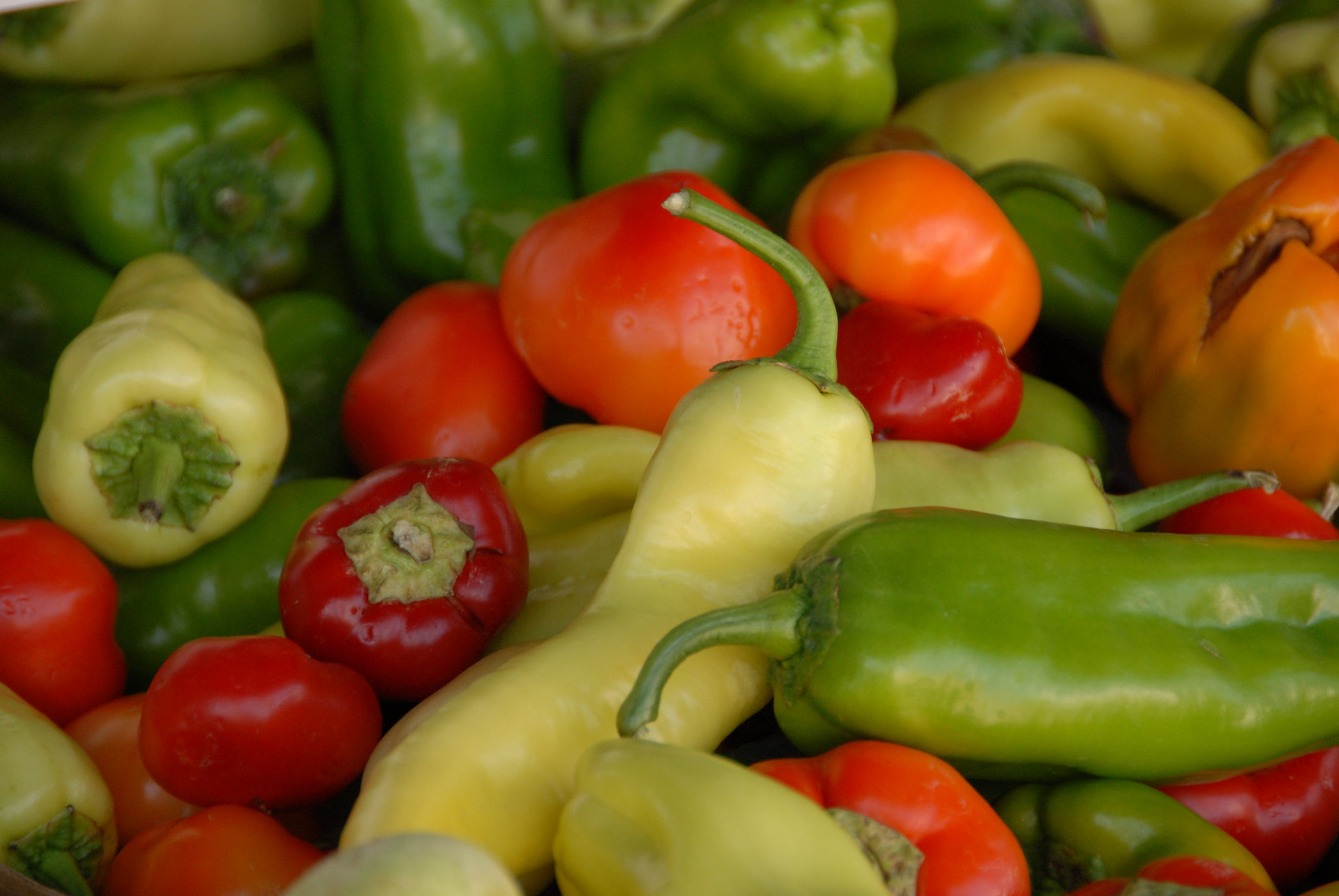 Des poivrons rouges, jaunes et verts sur un étal de marché