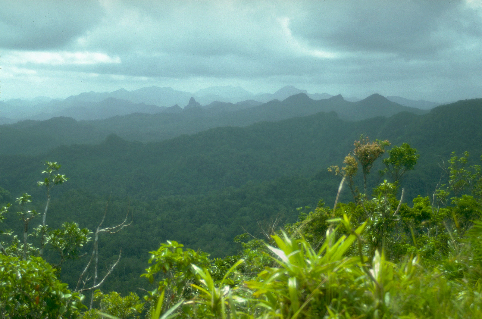 Des collines couvertes de forêt au sud-est de Viti Levu, aux Fidji.