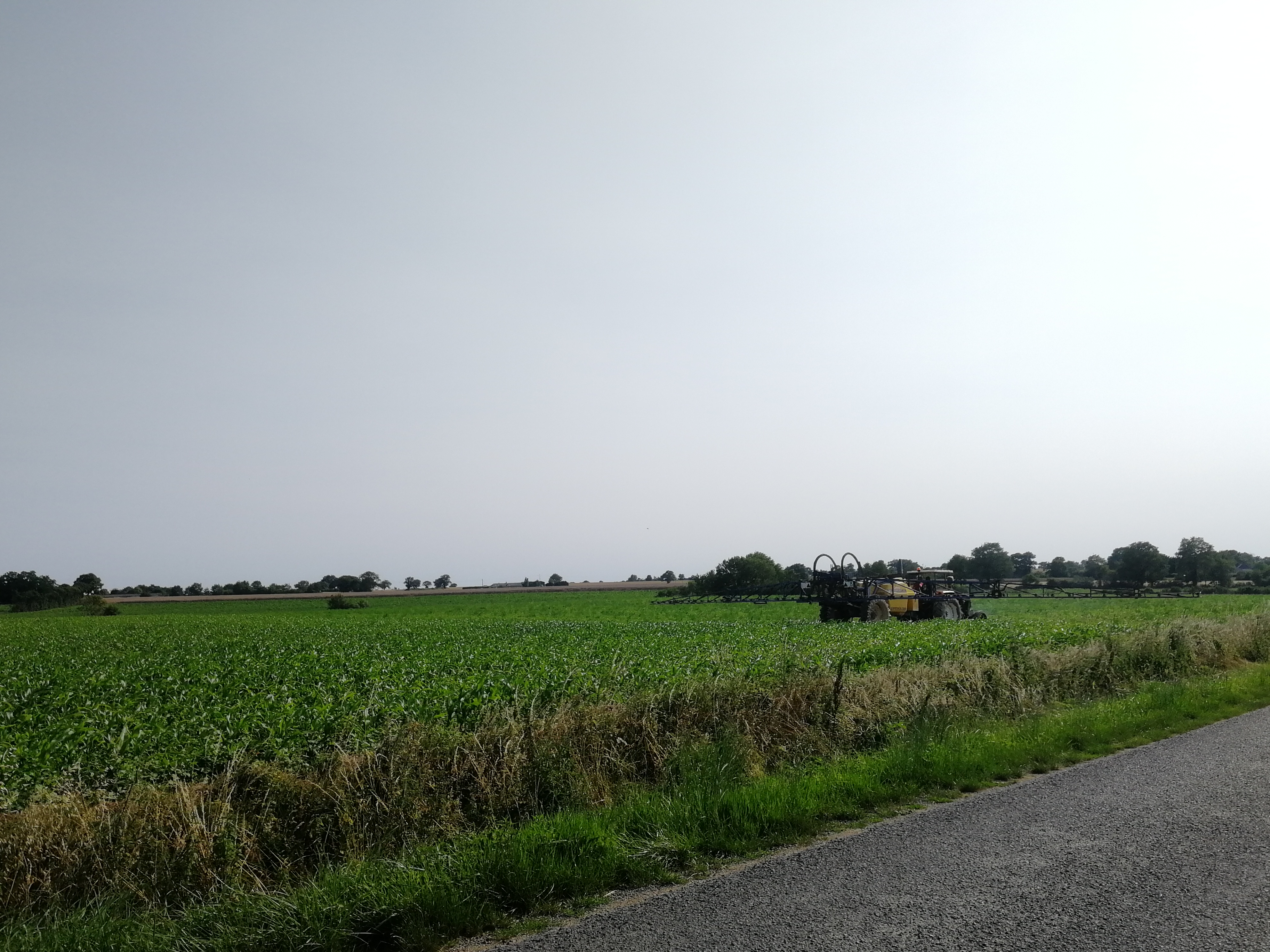 Un pulvérisateur dans un champ de maïs en Gironde